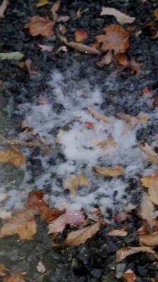 Oct 23 sleet_Beech Mtn_Mitzi Ulery