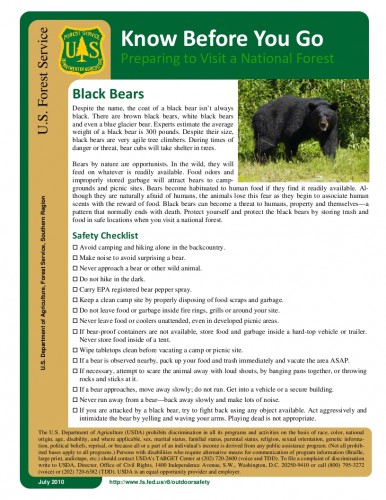 bear tips