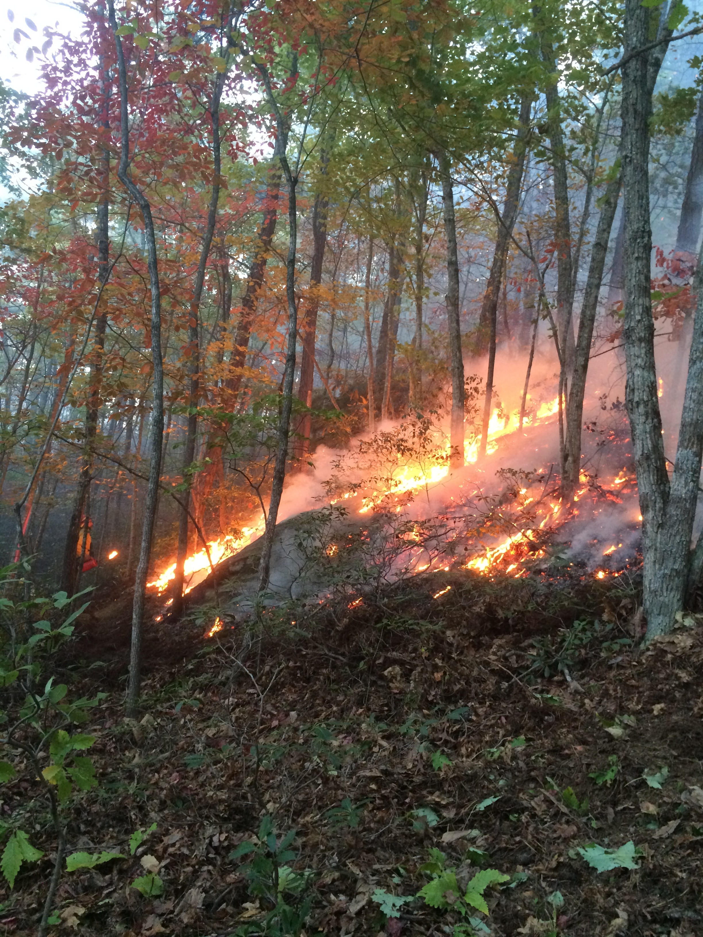 Oct 21 2015 wildfire